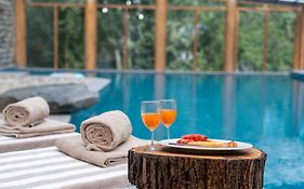 Organic Village Retreat